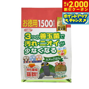 y2000~OFFN[|IGg[Ń|Cg+21.5{I{IzRbg Ĵ͂ [ p 1500g