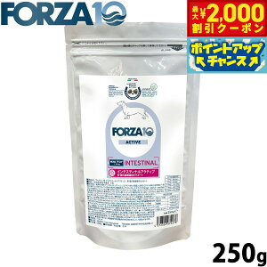 y2000~OFFN[|IGg[Ń|Cg+21.5{I{IztHc@10 Forza10 hbOt[h CeXeBiANeBu ~j ݒPApHÖ@H 250g Y  
