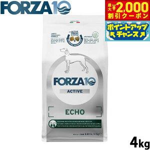 y2000~OFFN[|IGg[Ń|Cg+21.5{I{IztHc@10 Forza10 hbOt[h GR[ANeBu ~fBA ̃PApHÖ@H 4kg Y  