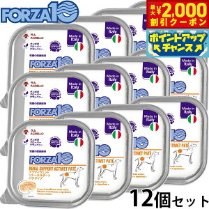 y2000~OFFN[|IGg[Ń|Cg+21.5{I{IztHc@10 FORZA10 ANeBuC hbOt[h ANeBEFbg i[  ťNێ̂߂̐HÖ@H 10