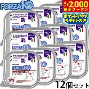 y2000~OFFN[|IGg[Ń|Cg+21.5{I{IztHc@10 FORZA10 ANeBuC hbOt[h ANeBEFbg f T[nC̔g 畆 т̌N