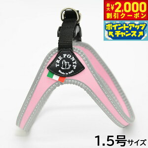 y2000~OFFN[|IGg[Ń|Cg+21.5{I{Izg|eB TREPONTI tBbrA tNeBu ^pn[lX 1.5 sN