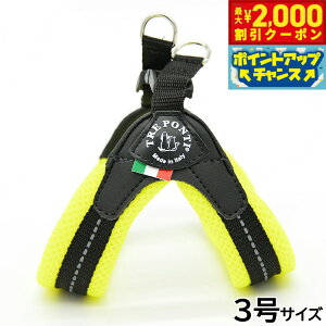y2000~OFFN[|IGg[Ń|Cg+21.5{I{Izg|eB TREPONTI tBbrA \tgbV ^pn[lX 3 CG[