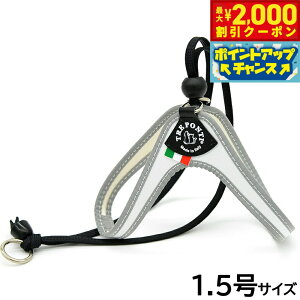 y2000~OFFN[|IGg[Ń|Cg+21.5{I{Izg|eB TREPONTI x^ tI ^pn[lX 1.5 zCg