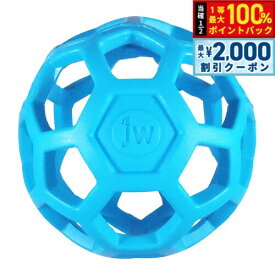 【9/10限定！最大2000円OFFクーポン＆抽選で最大1万ポイントバック】JW ホーリーローラーボール ミニ ライトブルー