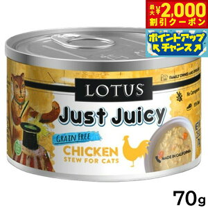 y2000~OFFN[|IGg[Ń|Cg+21.5{I{Iz[^X Lbgt[h OCt[ EFbgt[h `L V`[ 70g Y ʋl