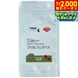 y2000~OFFN[|IGg[Ń|Cg+21.5{I{Izi`n[xXg Tvg NtFJX 180 Y Y K{b_ IK3