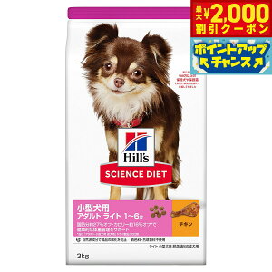 y2000~OFFN[|IGg[Ń|Cg+21.5{I{IzTCGX _CGbg A_g Cg ^p 얞X̐p 1`6 `L 3kg qY hbOt[h hCt[h 
