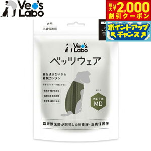 y2000~OFFN[|IGg[Ń|Cg+21.5{I{Izxbc{ p xbcEFA p㕞 畆ی앞 j̎qp MD J[Lyz GUxXJ[  p