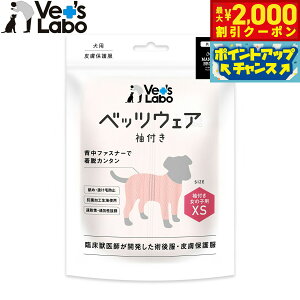 y2000~OFFN[|IGg[Ń|Cg+21.5{I{Izxbc{ p xbcEFA p㕞 畆ی앞 t ̎qp XS sNyz GUxXJ[  p