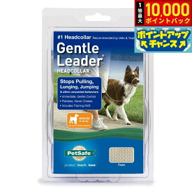 【9/15限定！抽選で最大1万ポイントバック】ペットセーフ ジェントルリーダー ヘッドカラー クイックリリース M
