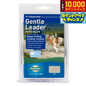 【9/15限定！抽選で最大1万ポイントバック】ペットセーフ ジェントルリーダー ヘッドカラー クイックリリース S