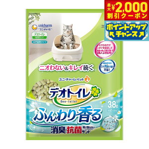 y2000~OFFN[|IGg[Ń|Cg+17.5{I{Izj `[ fIgC ӂ荁L RۃTh i`O[̍ 3.8L Lpi ˂ObY ybgObY 