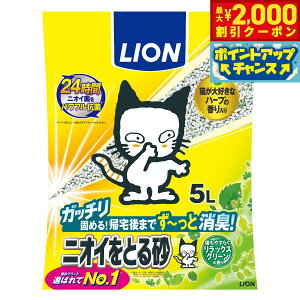 y2000~OFFN[|IGg[Ń|Cg+17.5{I{IzLION CI jICƂ鍻 bNXO[̍ 5L Lpi ˂ObY ybgObY ybgpi L