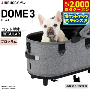 y2000~OFFN[|IGg[Ń|Cg+17.5{I{IzGAoM[ h[3 Rbg GAoM[ P M[ ubTyzAIRBUGGY ybgJ[g  L AD3110