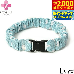 y2000~OFFN[|IGg[Ń|Cg+17.5{I{Izy^vX ɂ񂭂ohi߂j L ^p lbNoh L ʃu[yz