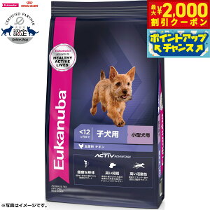 [Jko Eukanuba hbOt[h X[ ps[ 800g ^ qp
