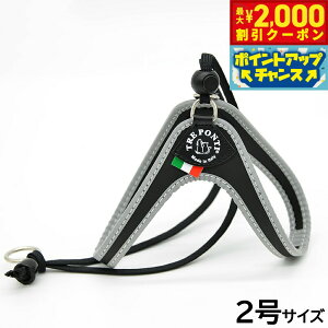 y2000~OFFN[|IGg[Ń|Cg+17.5{I{Izg|eB TREPONTI x^ tNeBu ^pn[lX 2 ubN