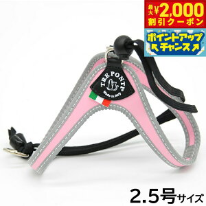 yGg[Ń|Cg+6.5{I{Izg|eB TREPONTI x^ tNeBu ^pn[lX 2.5 sN