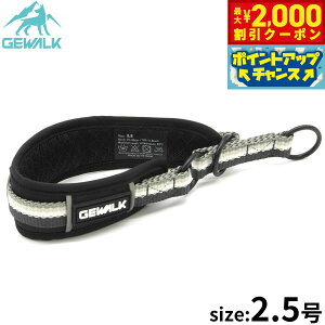 y2000~OFFN[|IGg[Ń|Cg+17.5{I{IzWEH[N GEWALK n[t`[Niցj 2.5 ubN