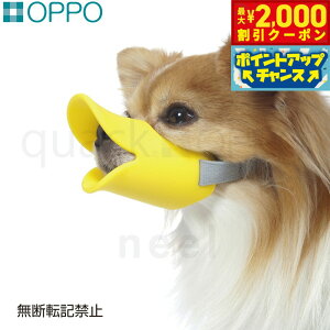y2000~OFFN[|IGg[Ń|Cg+17.5{I{IzOPPO quackiNAbNj STCY pi ցi݂ ʖih~j/GUxXJ[