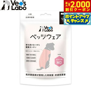 y2000~OFFN[|IGg[Ń|Cg+17.5{I{Izxbc{ p xbcEFA p㕞 畆ی앞 ̎qp MD sNyz GUxXJ[  p