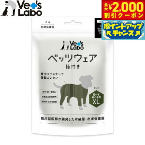 y2000~OFFN[|IGg[Ń|Cg+17.5{I{Izxbc{ p xbcEFA p㕞 畆ی앞 t j̎qp XL J[Lyz GUxXJ[  p
