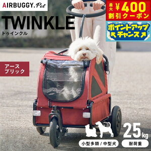 y400~OFFN[|IGg[Ń|Cg+4{I101IzGAoM[ tH[ ybg gDCNiTWINKLEj A[XubNyz ybgJ[g AIRBUGGY AD3017