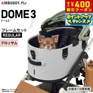 y400~OFFN[|IGg[Ń|Cg+4{I101IzGAoM[ tH[ ybg h[3 Zbg M[ ubT AIRBUGGY ybgJ[g  L  ܂肽 AD3210