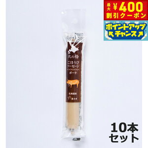 y400~OFFN[|IGg[Ń|Cg+5{I{Izk̋ ̂ قу\[Z[Wi|[Nj 40g×10{ Y Y kCY