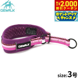 y2000~OFFN[|IGg[Ń|Cg+18{I{IzWEH[N GEWALK n[t`[Niցj 3 p[v