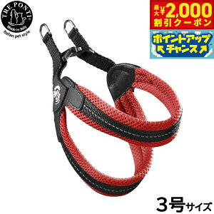y2000~OFFN[|IGg[Ń|Cg+18{I{Izg|eB TREPONTI tBbrA \tgbV 3 bh n[lX