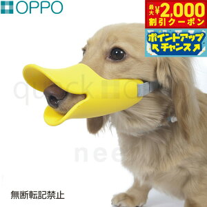 y2000~OFFN[|IGg[Ń|Cg+18{I{IzOPPO quackiNAbNj MTCY pi ցi݂ ʖih~j/GUxXJ[