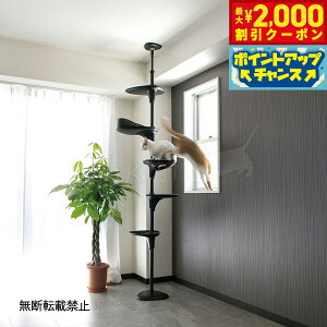 y2000~OFFN[|IGg[Ń|Cg+18{I{Izyr[TzOPPO Ib| Lbg^[ ˂ X ȃXy[X LbgtHXg c[ CatForest-2  