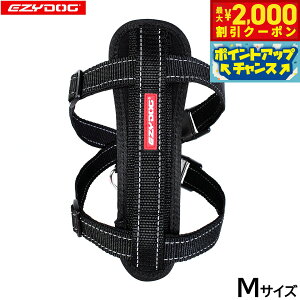 y2000~OFFN[|IGg[Ń|Cg+18{I{IzC[W[hbO EZYDOG n[lX M ubNyz `FXgv[g   ^