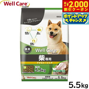 y2000~OFFN[|IGg[Ń|Cg+19{I{IzEFPA hbOt[h Đp A_g`VjA 5.5kg Y 