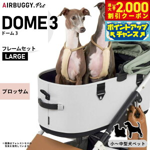 y2000~OFFN[|IGg[Ń|Cg+12{I{IzGAoM[ tH[ ybg h[3 Zbg [W ubT AIRBUGGY ybgJ[g  L  ܂肽 AD2610