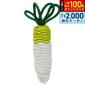 【10/15限定！最大2000円OFFクーポン＆抽選で最大1万ポイントバック】ベストエバージャパン 犬用おもちゃ タフトイ ダイコン M 丈夫 頑丈 犬 おもちゃ ロープ ペットトイ オヤツ 挟める 遊ぶ ストレス解消