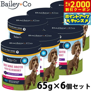 y2000~OFFN[|IGg[Ń|Cg+12{I}\IzxC[R[ Bailey{Co t[YhC Tvg r[t {[ uX u[x[ 65g×6Zbg X[v ӂ肩