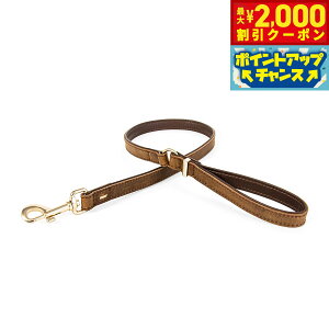 y2000~OFFN[|IGg[Ń|Cg+12{I}\IzC[W[hbO EZY DOG U[[h 106cm uEyz
