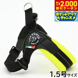 y2000~OFFN[|IGg[Ń|Cg+12{I}\Izg|eB TREPONTI tBbrA AWX^u^Cv \tgbV n[lX 1.5 CG[
