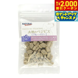 y2000~OFFN[|IGg[Ń|Cg+13{I{Izi`n[xXg p ñxWrX u[x[ 45g Y Y g[c rXPbg