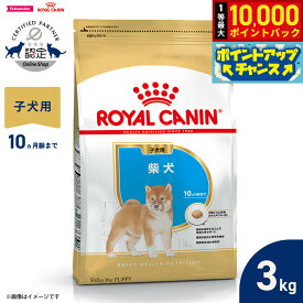 【10/18限定！抽選で最大1万ポイントバック＆ポイントUP】ロイヤルカナン 犬 ドッグフード ブリードヘルスニュートリション 柴犬専用フード 子犬用 3kg 正規品
