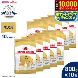 【10/18限定！抽選で最大1万ポイントバック＆ポイントUP】ロイヤルカナン 犬 ドッグフード ブリードヘルスニュートリション 柴犬専用フード 成犬用 800g×10個 正規品