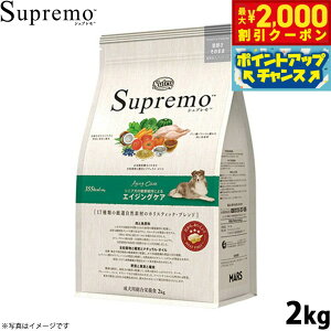 y2000~OFFN[|IGg[Ń|Cg+13{I{Izj[g Vv hbOt[h ^`^ VjAp 2kg Y pi ybgpi v~A [SP-SE]