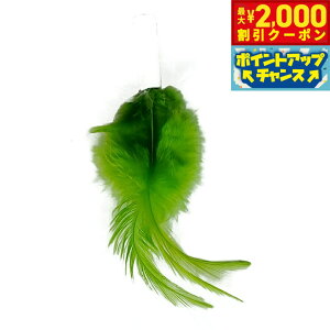 y2000~OFFN[|IGg[Ń|Cg+13{I{Izt@^W[[h y^OpXyAtFU[ O[ L TOY lR  d ˂炵