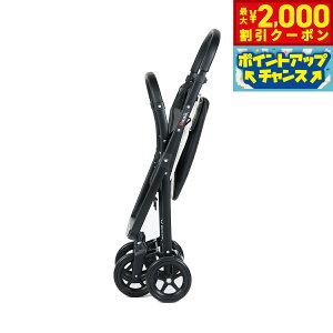 【2000円OFFクーポン!&エントリーでポイント+13倍!本日限定!】ゴーウォーカー gowalker フレーム単体 ブラック【送料無料】