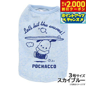 【2000円OFFクーポン!&エントリーでポイント+13倍!本日限定!】サンリオ ポチャッコサーファー 3号 スカイブルー