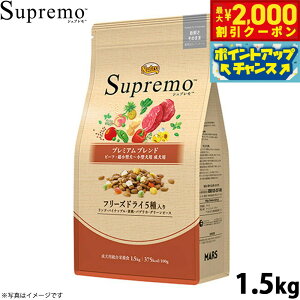 y2000~OFFN[|IGg[Ń|Cg+13{I{Izj[g Vv ^`^p p v~Auh r[t 1.5kg Y hbOt[h t[YhC 