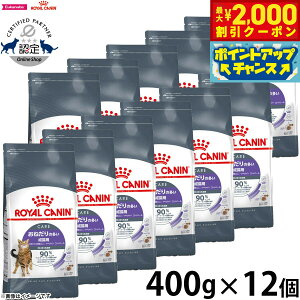 y2000~OFFN[|IGg[Ń|Cg+13{I{IzCJi Ay^CgRg[ 400g×12 ˂̑Lp Lp Lbgt[h tB[C PA j[g